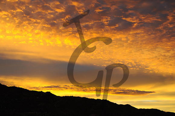 TGP_03