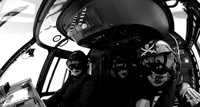 TGP_3874