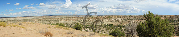 NM