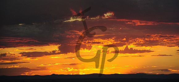 TGP_06