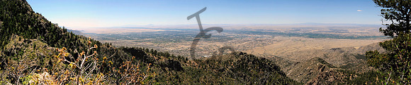 ABQ