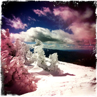 Hipstamatic