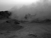 TGP_0863
