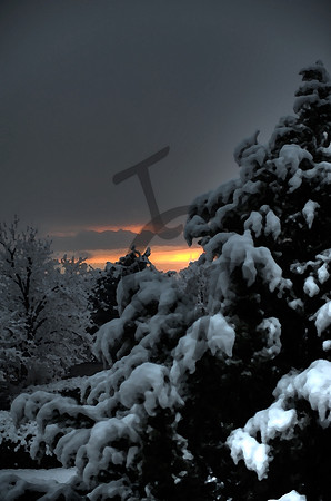 2011-01-31 at 18-35-53