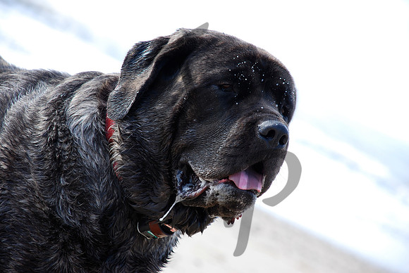 Playing on the beach_2
