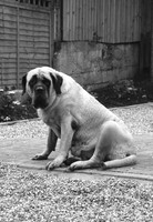 More sulking