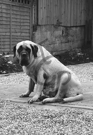 More sulking