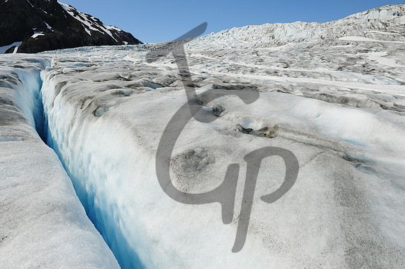 TGP_4525