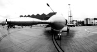 TGP_0464_Mirage