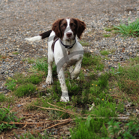 Fetch...