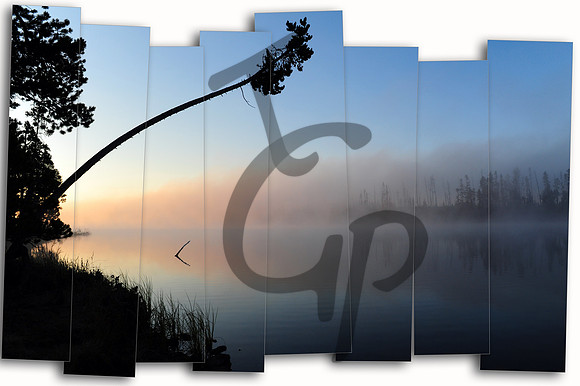Camp panels