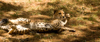 Playtime_2