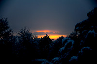 DSC_6561