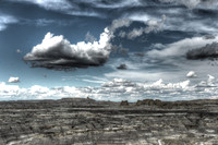 New Mexico
