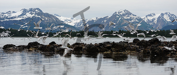 2011-06-18 at 14-39-59 (1)