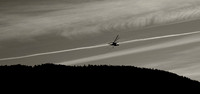 Heading for home_1