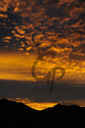 TGP_04