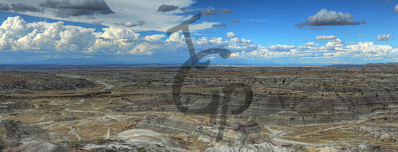 Bisti Badlands_6