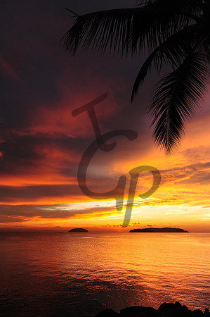 DSC_1540