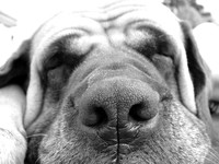 More wrinkles...more experience