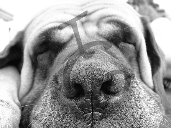 More wrinkles...more experience