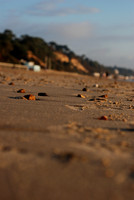 Sandbanks early morning_2