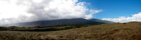 BigislandPan