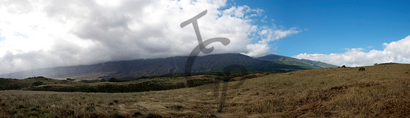 BigislandPan
