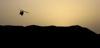Heading for home_2